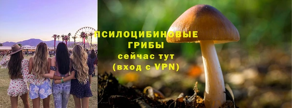 тгк Няндома
