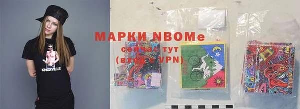 твердый Новозыбков