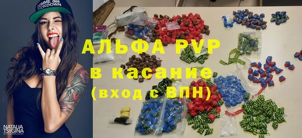 твердый Новозыбков