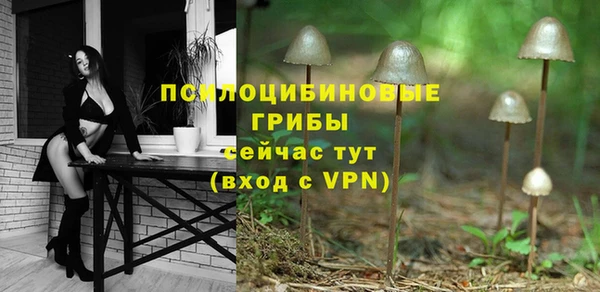 тгк Няндома