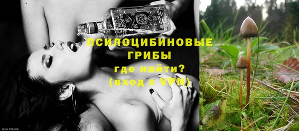 твердый Новозыбков