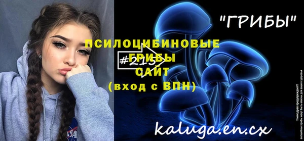 тгк Няндома