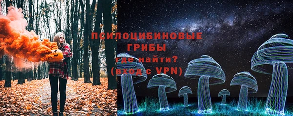 PSILOCYBIN Новокубанск