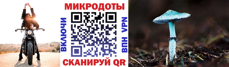 сайты даркнета наркотические препараты  Кашин  Псилоцибиновые грибы Cubensis 